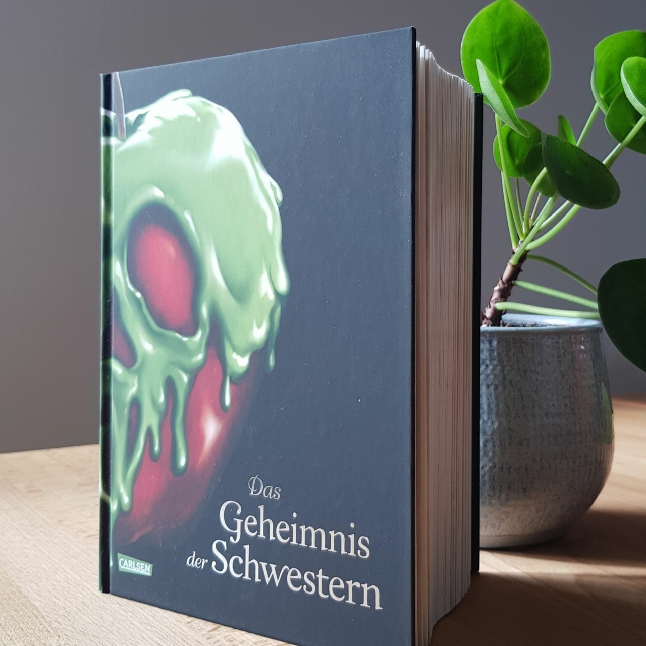Das Geheimnis der Schwestern