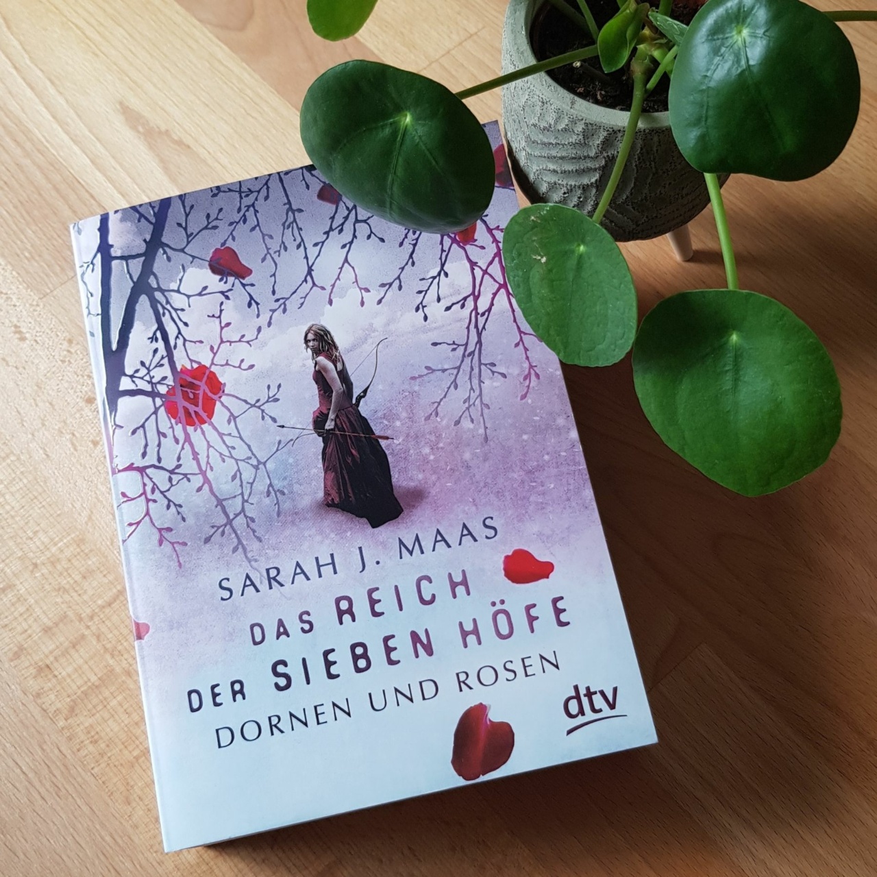 Das Reich der sieben Höfe – Dornen und Rosen