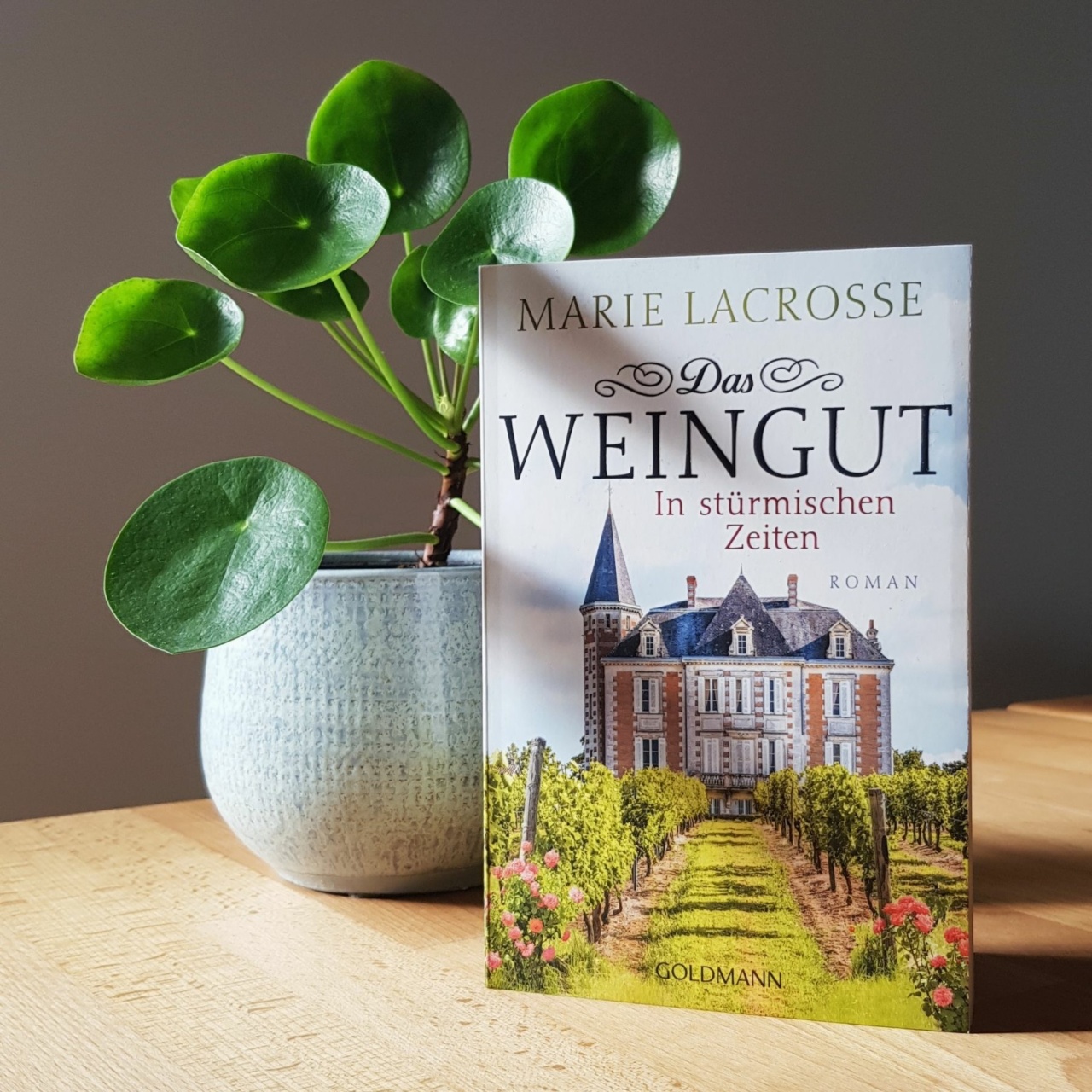 Das Weingut – In stürmischen Zeiten