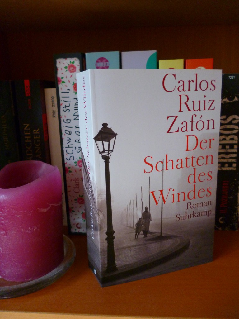 Der Schatten des Windes