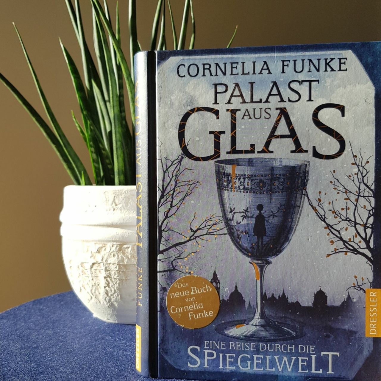 Palast aus Glas – Eine Reise durch die Spiegelwelt