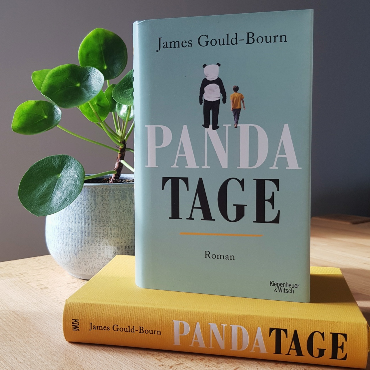 Pandatage